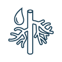 Vascular icon