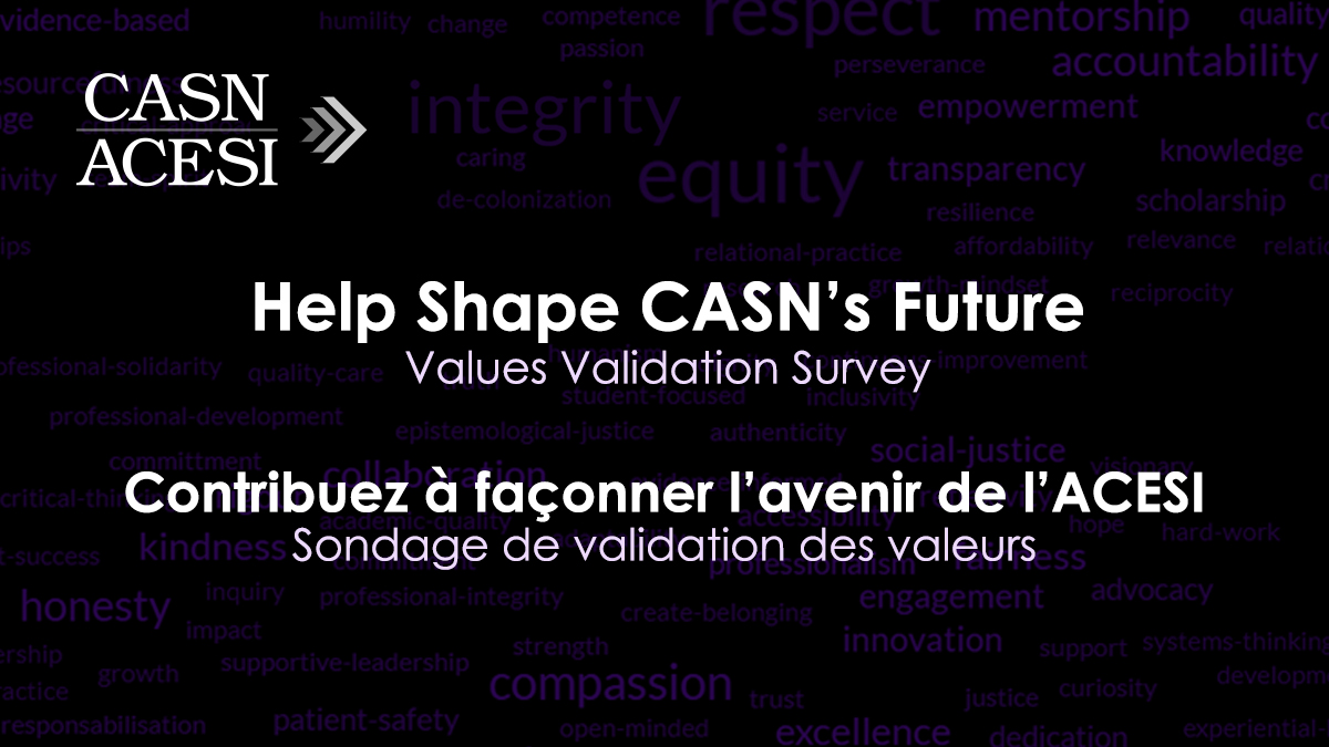 Values Validation Survey